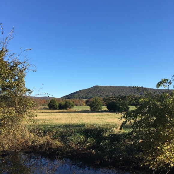 Profile Picture of Julia Estes (@juliaestes18) on Poshmark