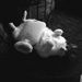 Profile Picture of Tim Hohmann (@timhohmann) on Pinterest