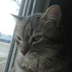 Profile Picture of Riley Karlenzig (@diaboli.cciv) on Instagram