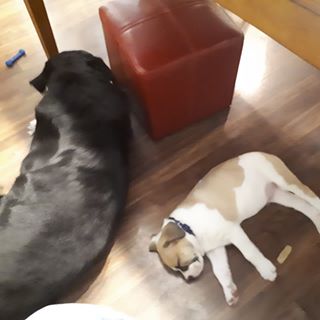 Ken Gervais - Facebook Profile Picture of Ken Gervais (@ken.gervais.52) on Facebook