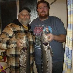 Profile Picture of Joel Malone (@311641994) on Myspace