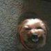 Profile Picture of Lori Runkle (@lori.runkle.7) on Facebook