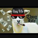 Profile Picture of peter valadez (@michelle_peter_love) on Instagram