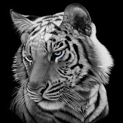 Profile Picture of Patty Keller (@pattykeller7946) on Youtube