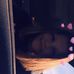 Profile Picture of Lily Clibourne (@lily.clibourne.5) on Facebook