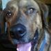 Profile Picture of Steve Bagwell (@steve.bagwell.77) on Facebook