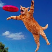 Profile Picture of Jeremy Crowell (@meowpheus) on Youtube