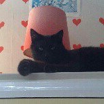 Cristian Lindberg - Instagram Profile Picture of Cristian Lindberg (@newtonioo) on Instagram