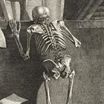 Profile Picture of Alexandra Nathanson (@piddur) on Instagram