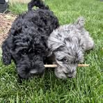 Profile Picture of Andrew Riddle (@andrew.riddle.1257) on Facebook