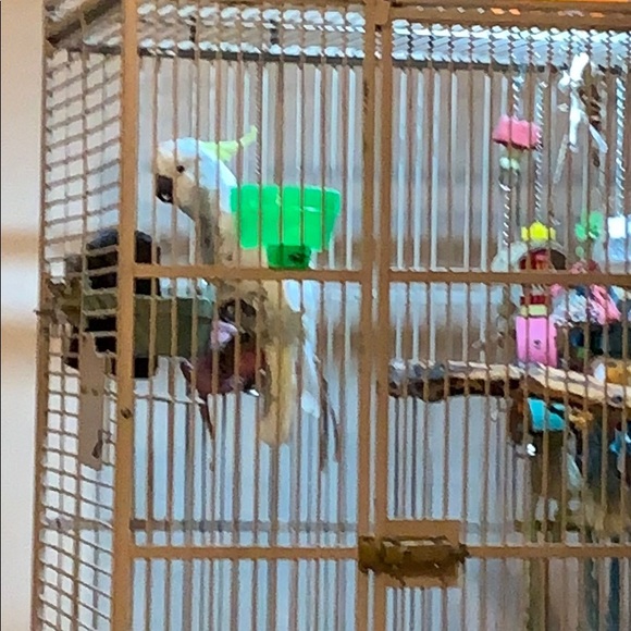 Profile Picture of Glenda Veteto (@glendapv) on Poshmark