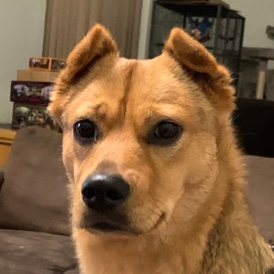 Profile Picture of Alex Ballantyne (@AlexBallantyne3) on Twitter