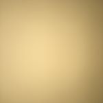 Mickey - Instagram Profile Picture of Mickey (@mickeyhanksforsd) on Instagram