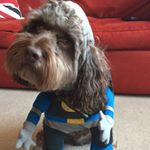 Ralph Robertson - Instagram Profile Picture of Ralph Robertson (@ralfrob66) on Instagram