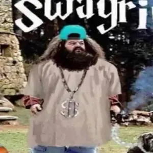 Hinsch - Tiktok Profile Picture of Hinsch (@derechtehinsch) on Tiktok