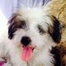 Profile Picture of Doris Sebastian (@doris.sebastian.583) on Facebook