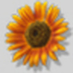 Profile Picture of Diane Nguyen (@dianenguy) on Flickr