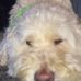Profile Picture of Gus Edstrom (@gus.edstrom.50) on Facebook