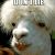 Profile Picture of Amberlee Stahlbaum (@amberleestahlbaum) on Pinterest