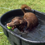 Profile Picture of Nick Snell (@nicholassnell) on Youtube