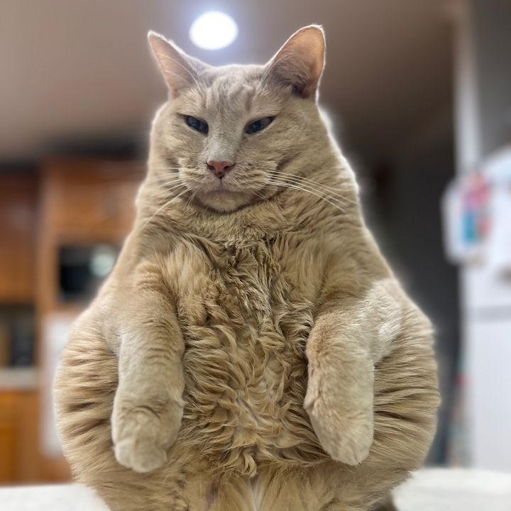 Profile Picture of   Jessica Johnny James... (@jessicajohnnyjames) on Tiktok