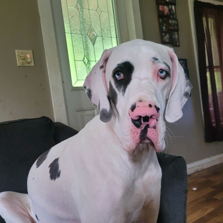 Profile Picture of Jeremy Ebersole (@jeremy.ebersole) on Tiktok