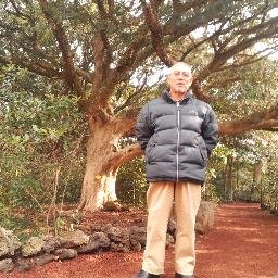 Dan Young Myung - Twitter Profile Picture of Dan Young Myung (@daniel_myung) on Twitter