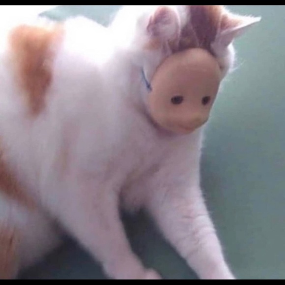 Profile Picture of Victoria Carberry (@v_carberry) on Poshmark