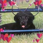 Profile Picture of Nathan Lovett (@lovett_nathan) on Instagram