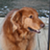 Profile Picture of Edward Haskell (@wardhaskell) on Flickr