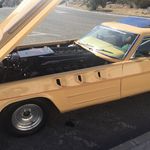 Profile Picture of John Dodd (@johndoddbeast) on Instagram