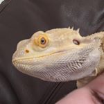 Profile Picture of danny teale (@potat0.s) on Instagram