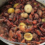 Profile Picture of David Beliveau (@beliveaudavid) on Instagram