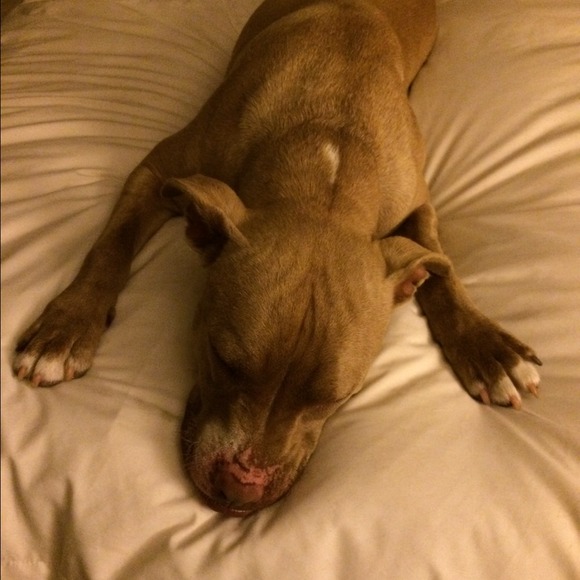 Laura Hanberg - Poshmark Profile Picture of Laura Hanberg (@lhanberg) on Poshmark