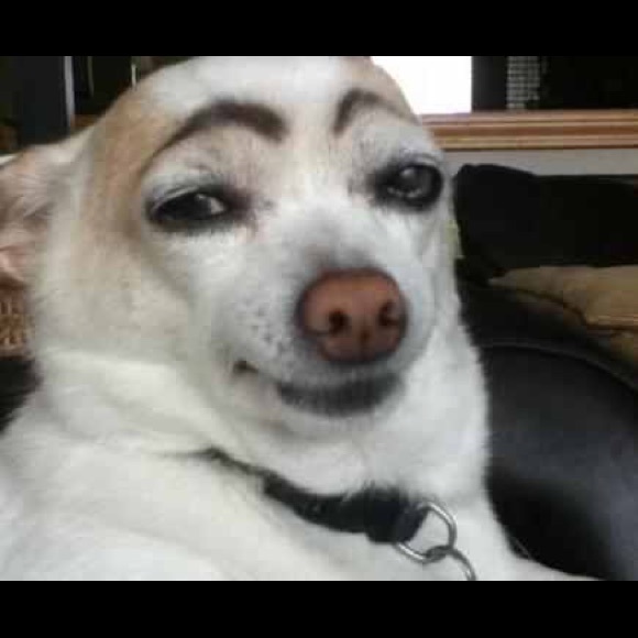 Profile Picture of Kylie Orrenmaa (@kylieorrenmaa) on Poshmark