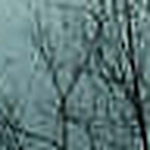 Profile Picture of Deborah Walsh (@jlhcricket) on Flickr