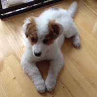 Lorena Ng - Quora Profile Picture of Lorena Ng (@lorena-ng) on Quora