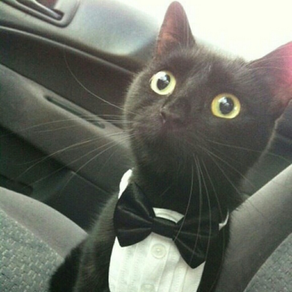 Profile Picture of John Osborne (@josborne85) on Poshmark