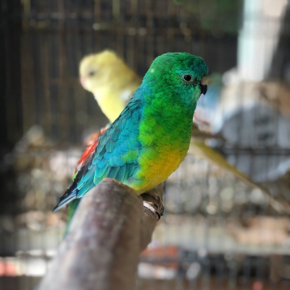 Profile Picture of Brenda Jimenez (@bjimenez_) on Poshmark