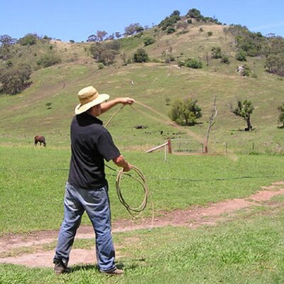 Profile Picture of Lou Kramer (@wranglerlou) on Twitter