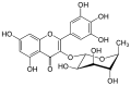 Profile Picture of Myricitrinon Wikipedia