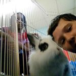 Profile Picture of ROBERT (@michenerrobert) on Instagram