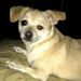 Profile Picture of Ernest Swanson (@ees1970) on Pinterest