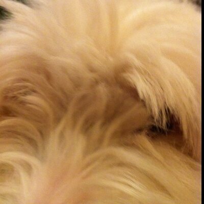 Profile Picture of Mark Scholes (@Scholsie67) on Twitter