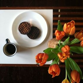 Profile Picture of Danielle Shows (@danielleshows) on Pinterest