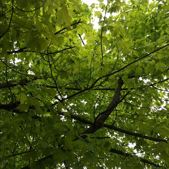 Profile Picture of Priyanka Nair (@priyanka90) on Poshmark