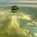 Profile Picture of Barbara Llewellin (@brodieman) on Pinterest