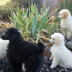 Roberta Stone - Instagram Profile Picture of Roberta Stone (@roberta.stone601) on Instagram