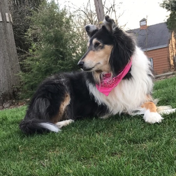 Profile Picture of Chris Salkowski (@hi2lofashion) on Poshmark