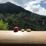 GiGiselAndrea - Instagram Profile Picture of GiGiselAndrea (@gigiandreajaramillo) on Instagram